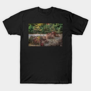 Shades of Rust T-Shirt